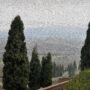 «Итальянский кипарис в Тоскане», цифровая картина авторства My Soul Passion, 2020
