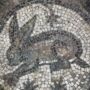 Заяц. Деталь мозаики. Петра (Иордания), V-VI вв. н.э.)
